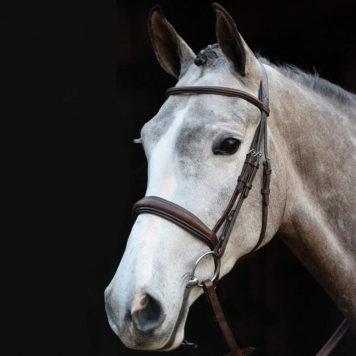 Collegiate Mono Crown Padded Raised Cavesson Snaffle Bridle Full Braun, Full Braun