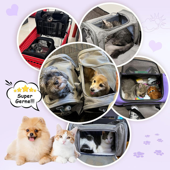 Transporttasche für Katze Hund, Hundetransportbox, Faltbare Katzentransportbox, tragbar, 5kg Katzen