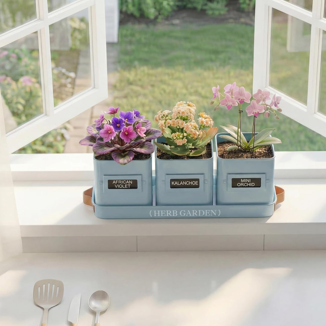 PERFNIQUE Kräutergarten für den Innenbereich, Kräutergarten-Pflanzgefäss-Set mit Tablett, Bauernhaus