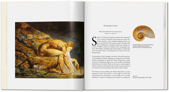 Der Geheime Code, Gebundenes Buch