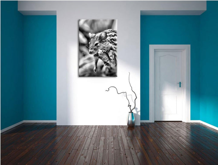 Pixxprint Monocrome, ruhende Feldmaus, Format: 100x70 auf Leinwand, 100x70