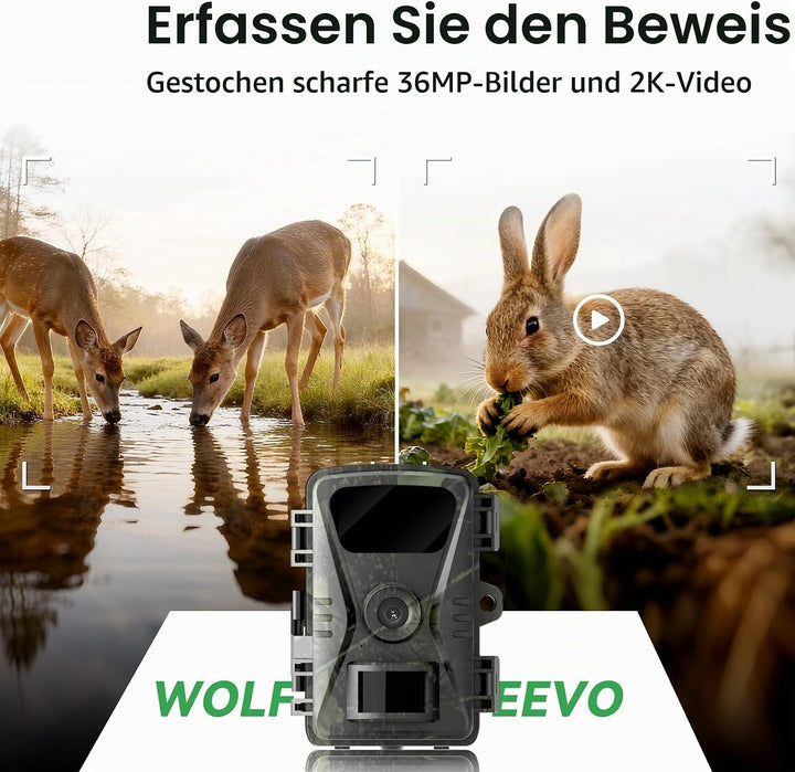 Trail-Kamera, 2026 Neues Upgrade 36MP 2K 0.1S Trigger Motion Activated, Game Camera with Night Visio