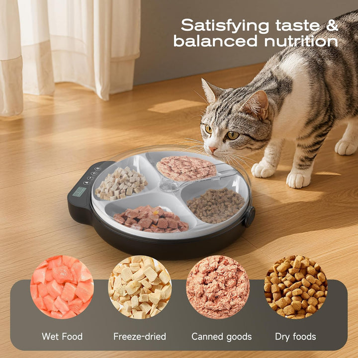 Futterautomat Katze Nassfutter Katzenfutter Automat: Futterspender Katze mit Programmierbarem Timer