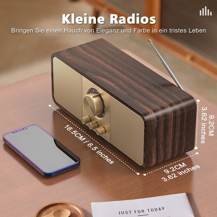 Nostalgie Radio, Retro Radios mit Bluetooth und TF Karte