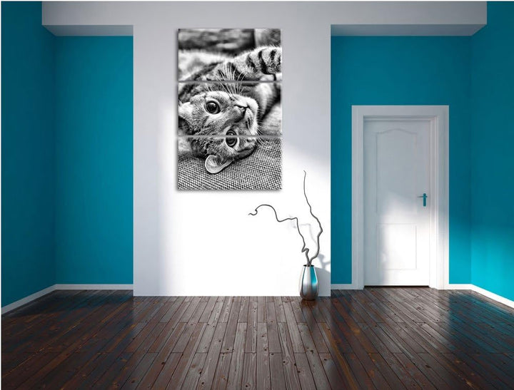 Pixxprint Süsses Kätzchen spielt als Leinwandbild/Grösse: 3 Teilig (120x80) cm/Wandbild/Kunstdruck/f
