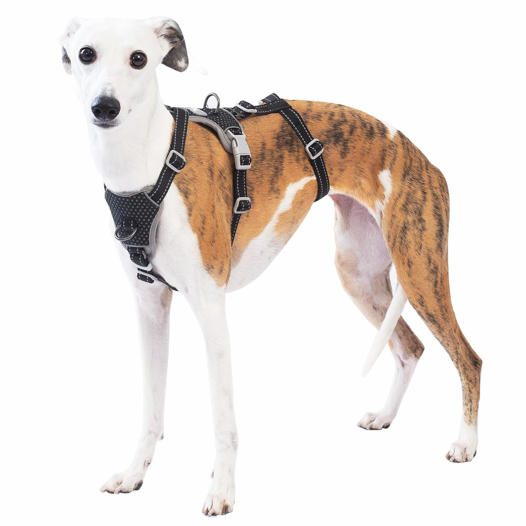 Huntboo Sicherheitsgeschirr Hund Ausbruchsicher, Panikgeschirr für Hunde, Anti Zug Hundegeschirr, Re