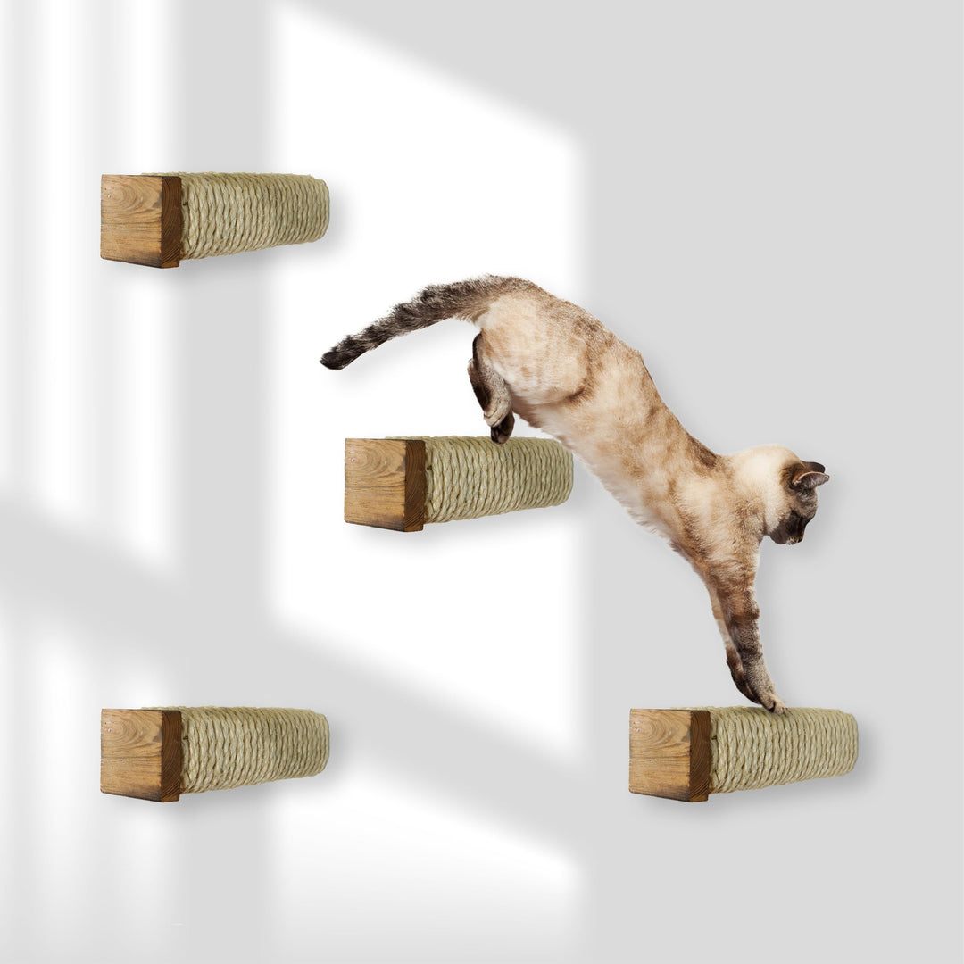 Rohrschneider Katzentreppe für Katzenwand | Kletterwand Katzen Holz GEFLAMMT | Wandelemente | Kratzs