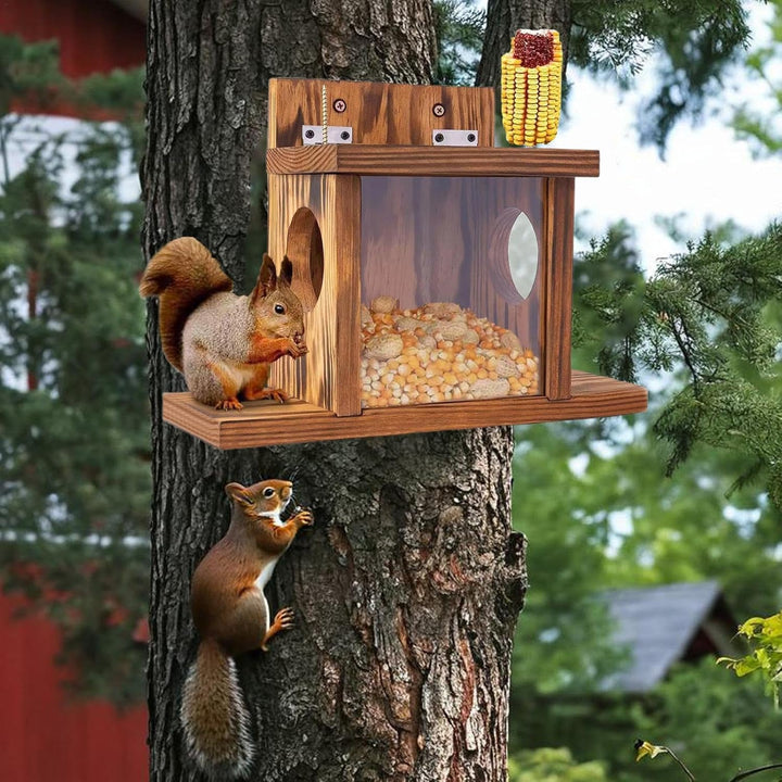 Eichhörnchen Futterhaus, Futterstationen Für Eichhörnchen, Futterstation Eichhörnchen, Eichhörnchen