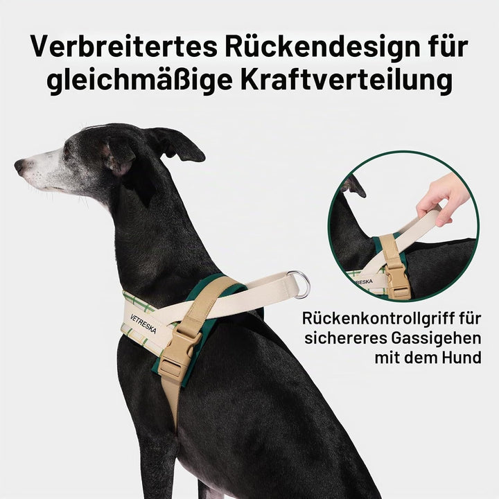 VETRESKA Hundegeschirr und Leine, Easy Walk Hundegeschirr für grosse und mittelgrosse Hunde, kein Zi
