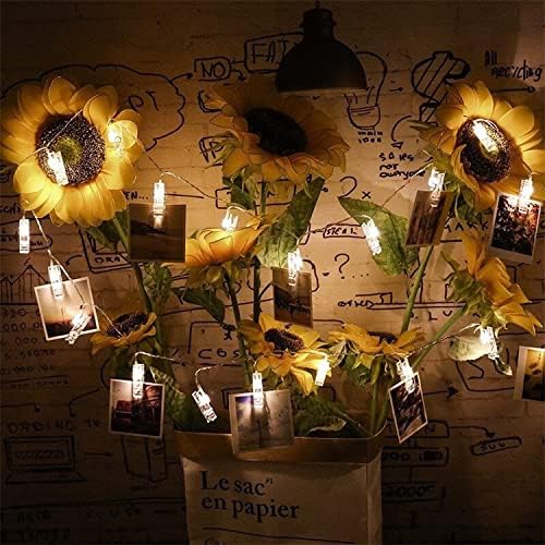 CozyHome Foto Lichterkette Fotoclips - 30 LED mit Klammern &amp; 5m Timer Batterie I Fotolichterketten F
