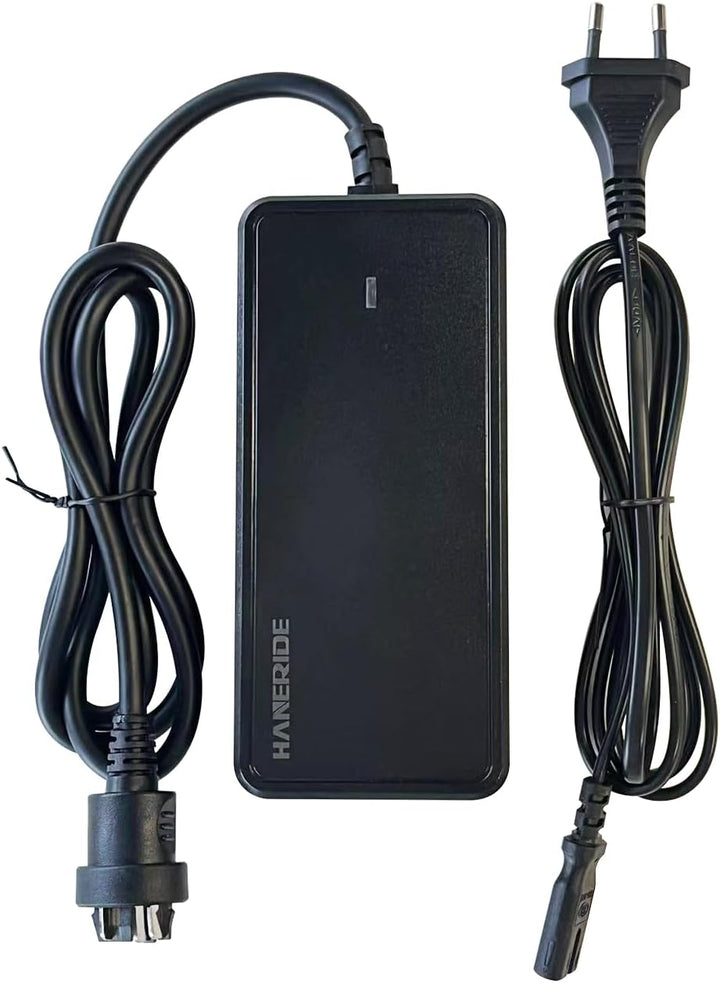 2A Ladegerät for 36V Bosch Active/Performance Line E-Bike Li-ion Batteries(0275007915)