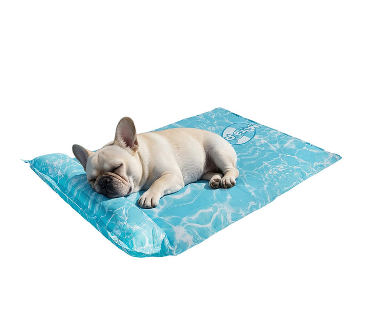 Pawtasy Kühlmatte für Hunde &amp; Katzen mit Kissen, selbstkühlende Hundematte mit Gel, kühlendes Hundeb