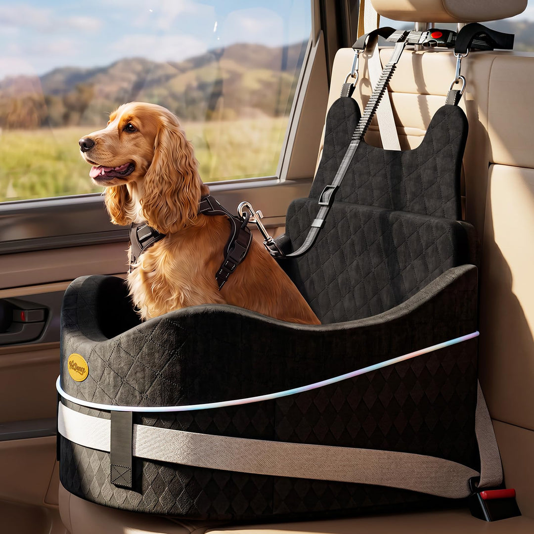 【Extra geräumiger &amp; gemütlicher】 Hundeautositz für mittlere &amp; kleine Hunde Schwarz, Schwarz