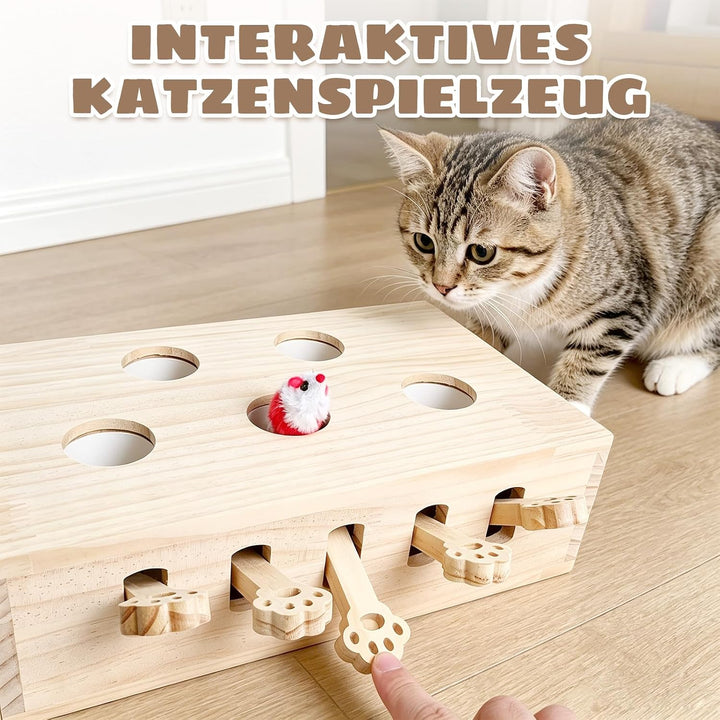 Interaktives Katzenspielzeug Holz Spielzeug, Katzenspielzeug Selbstbeschäftigung Puzzle Box mit Spie