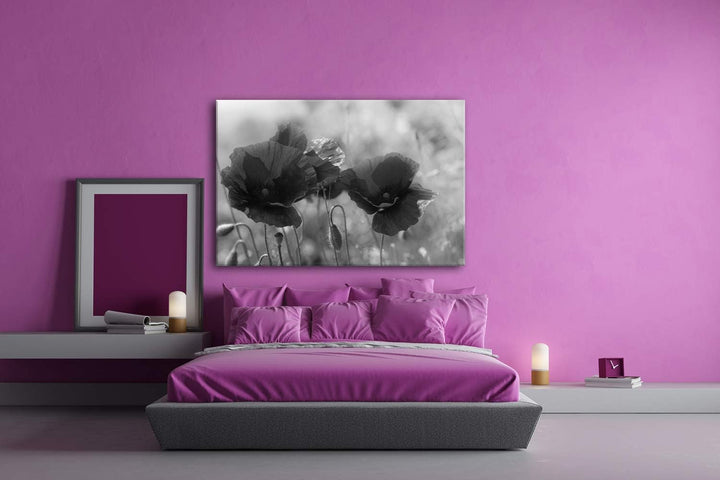 deyoli bezaubernde Mohnblumen Format: 80x60 Effekt: Schwarz&amp;Weiss als Leinwandbild, Motiv fertig ger