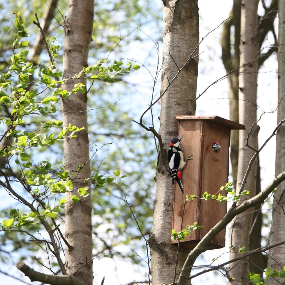 Esschert Design Nistkasten, Vogelhaus Buntspecht