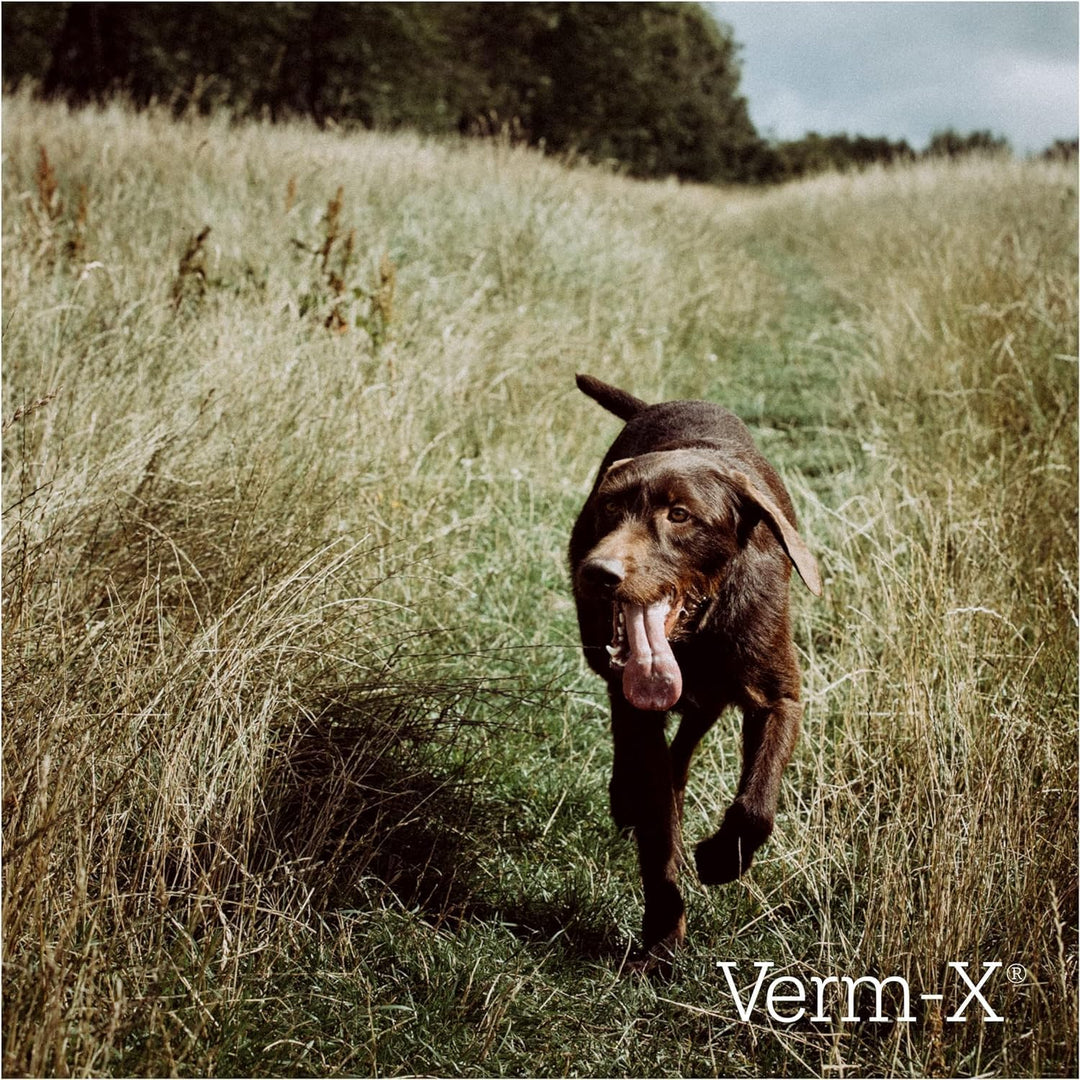 Verm-X Flüssig für Hunde, 1 Liter - 500ml