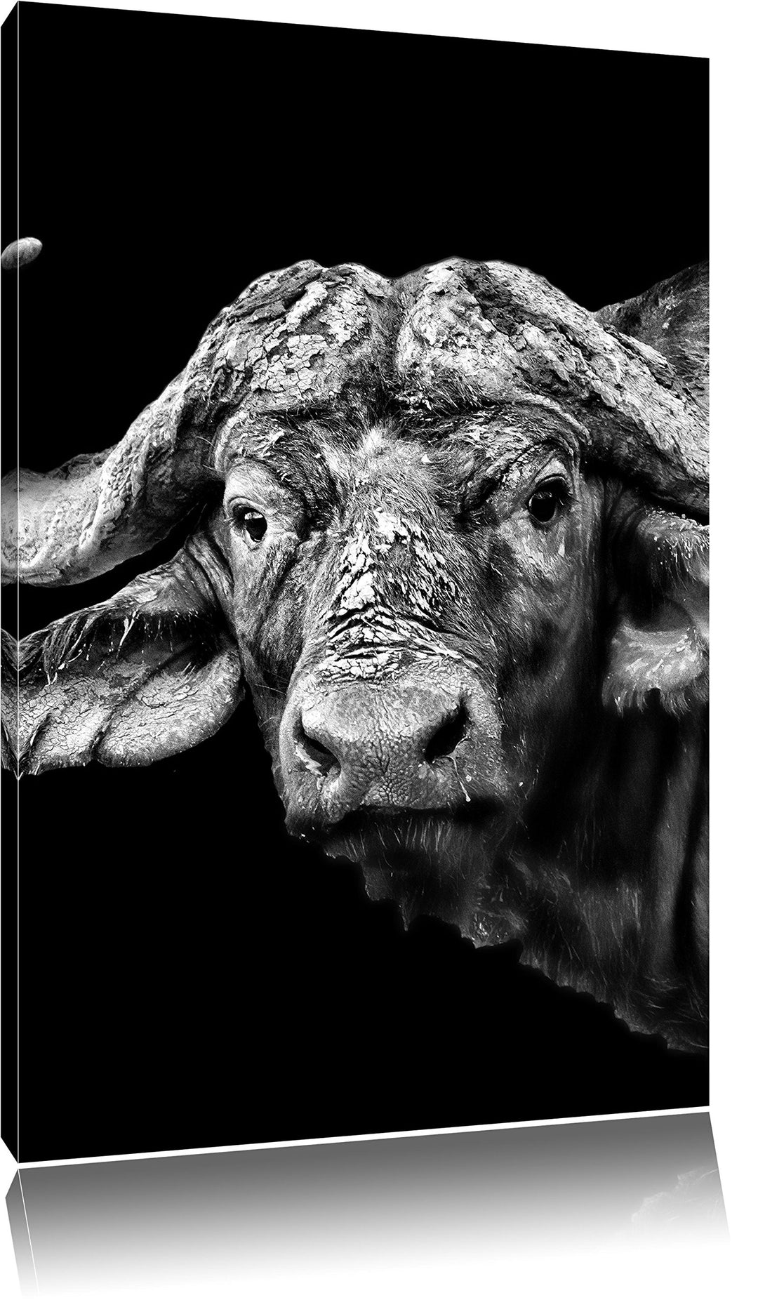 Pixxprint Dark Wasserbüffel als Leinwandbild | Grösse: 100x70 cm | Wandbild | Kunstdruck | fertig be