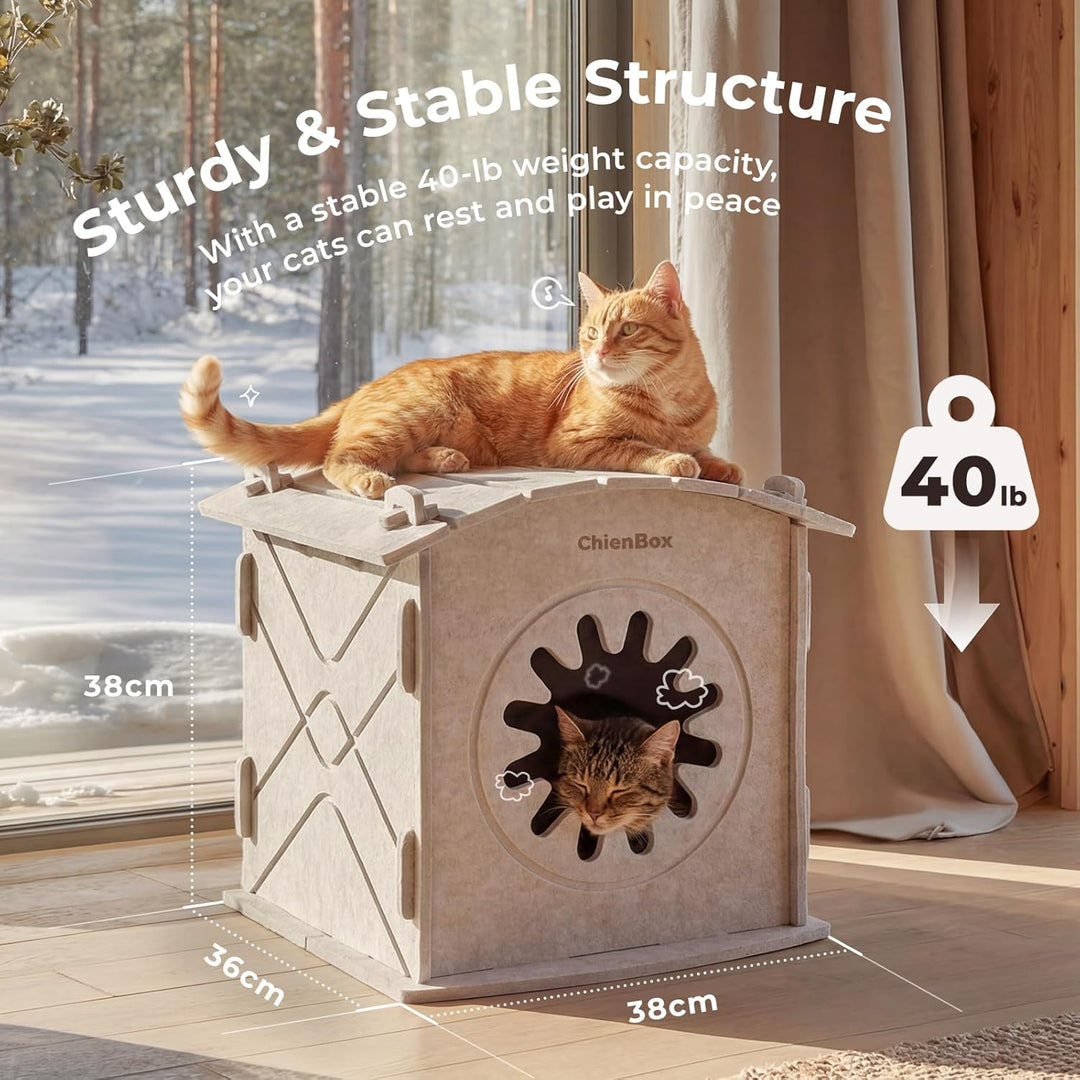 Katzenhöhle Filz: Gemütliches Katzenhaus Indoor, Katzenbett mit beruhigendem Kratzbogen, Robuste &amp; K