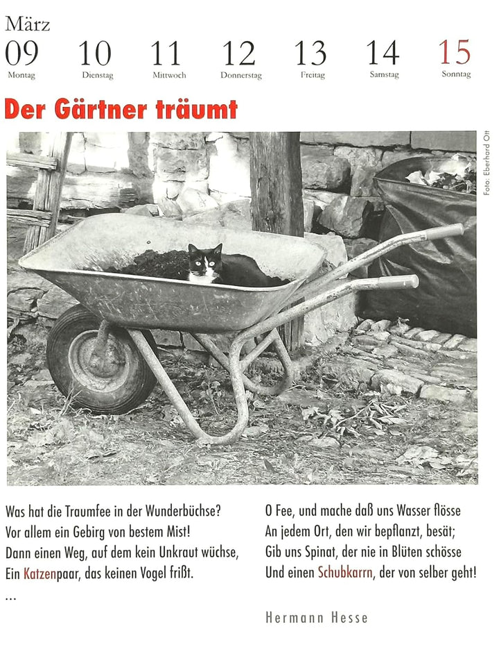 Der literarische Katzenkalender 2026. DAS ORIGINAL!, Spiralbindung