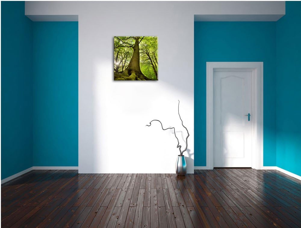 Riesiger Baum im Dschungel, Format: 70x70 auf Leinwand, XXL riesige Bilder fertig gerahmt mit Keilra