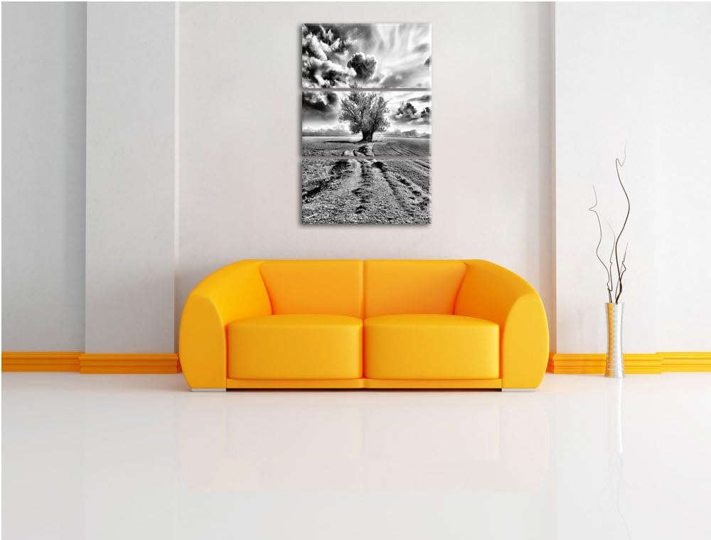 Pixxprint Pinkes Feld mit pinkem Baum als Leinwandbild/Grösse: 3 Teilig (120x80) cm/Wandbild/Kunstdr
