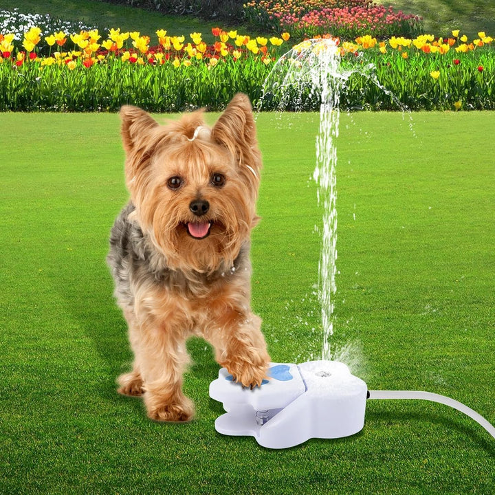 Wasserfontäne mit Pedal, Wasserspielzeug Hund, Hunde Trinkbrunnen, Pfotenaktivierter Trinkspender fü