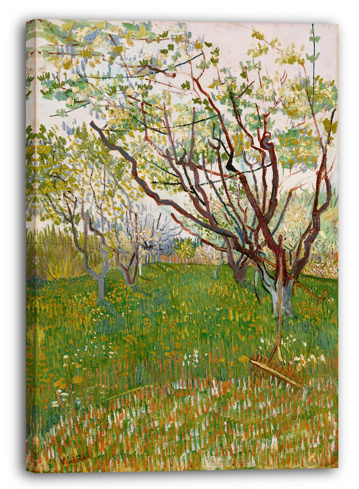 Printed Paintings Leinwand (60x80cm): Vincent Van Gogh - Der blühende Obstgarten 60x80 cm, 60x80 cm