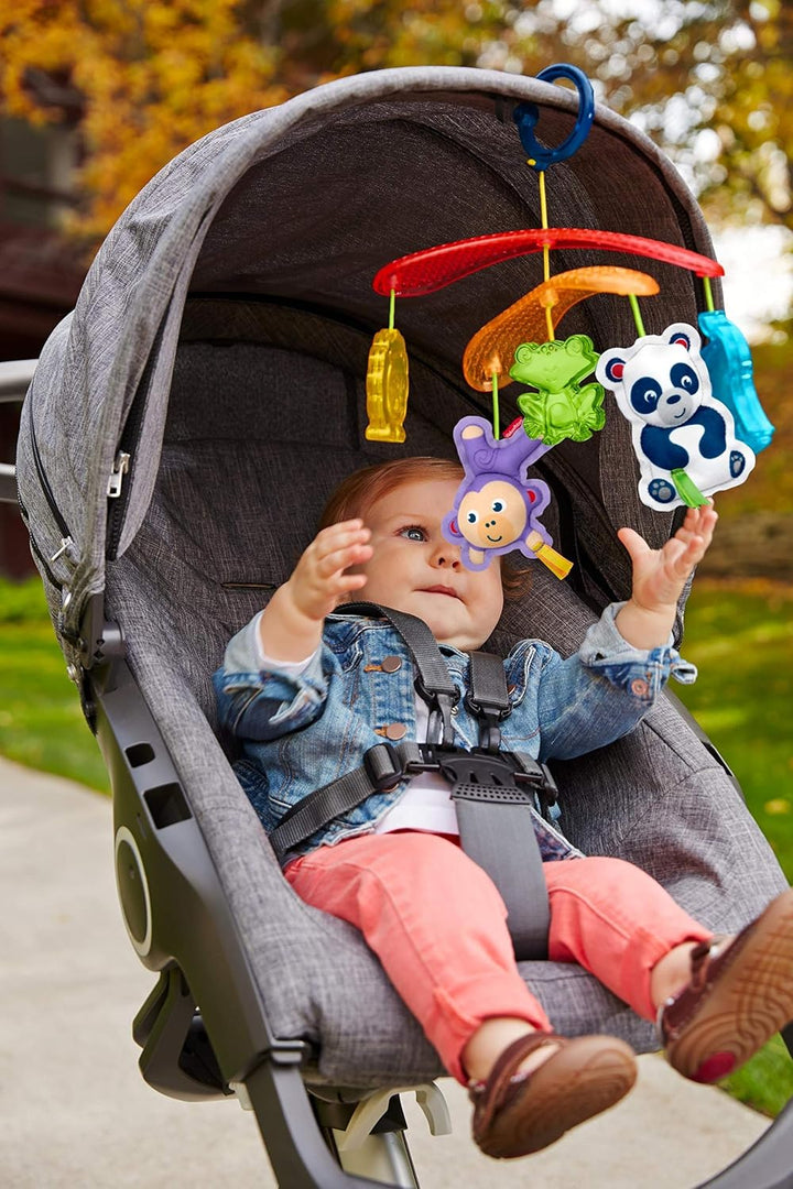 Mattel Fisher-Price DYW54 Buggy-Mobile, mehrfarbig