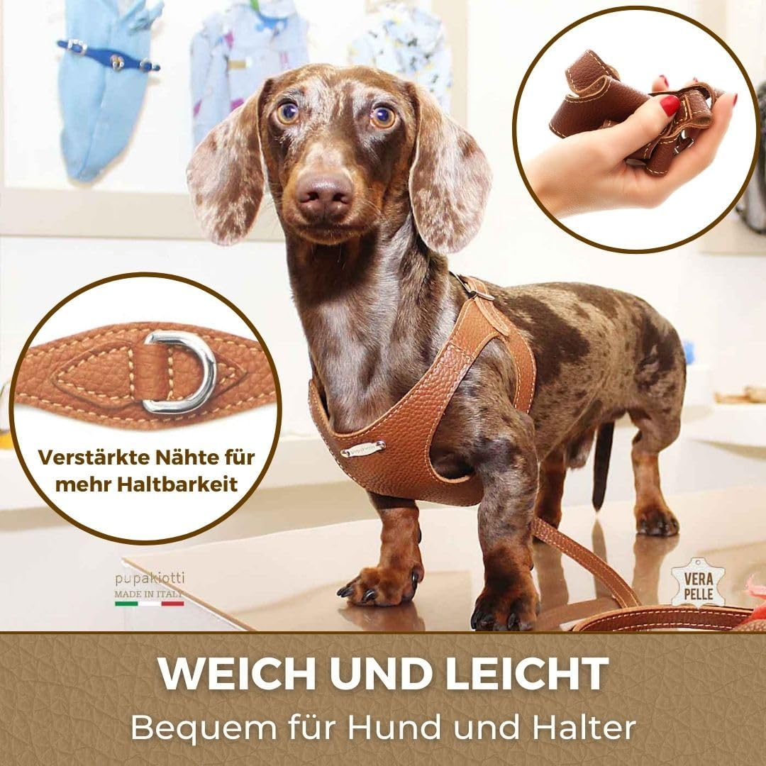 PUPAKIOTTI Brustgeschirr für kleine und mittelgrosse Hunde, Leder-Hundegeschirr, ergonomisch und ver