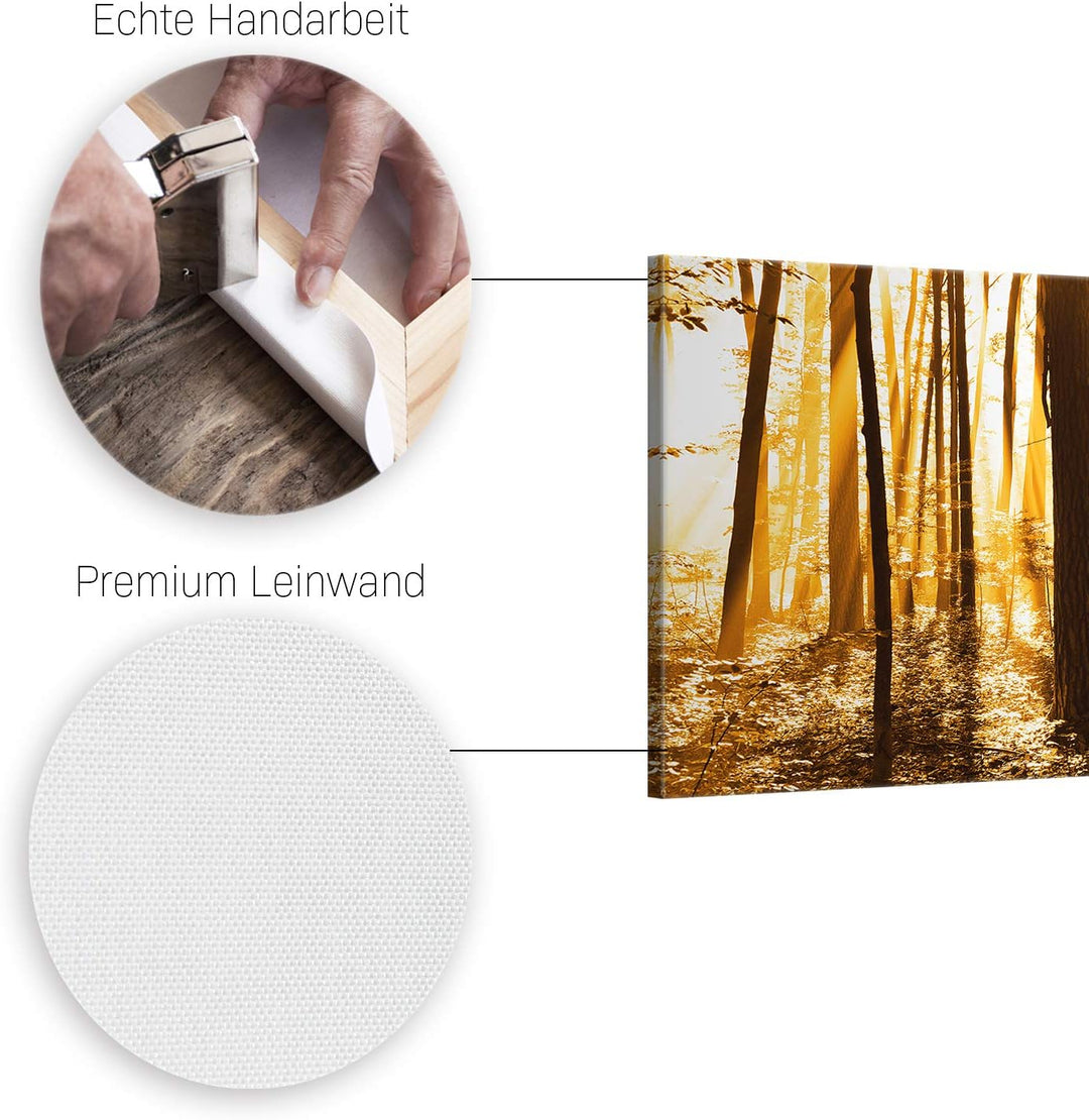 ge Bildet Bild auf Leinwand | Landschaftsbilder - beautiful morning in the forest G in 120x50 cm als