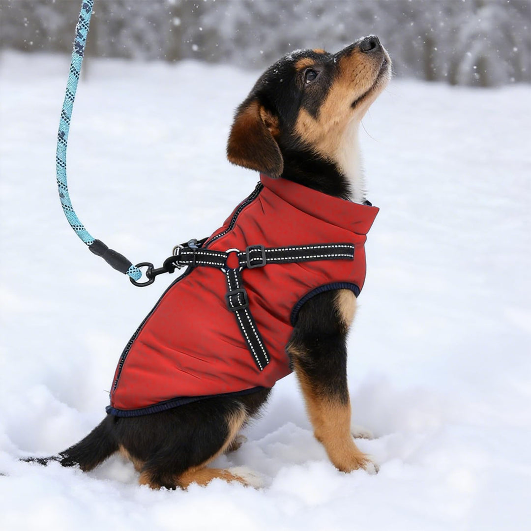 Hundemantel wasserdicht mit Geschirr, Winter warme Fleecejacke für mittelgrosse und grosse Hunde, re