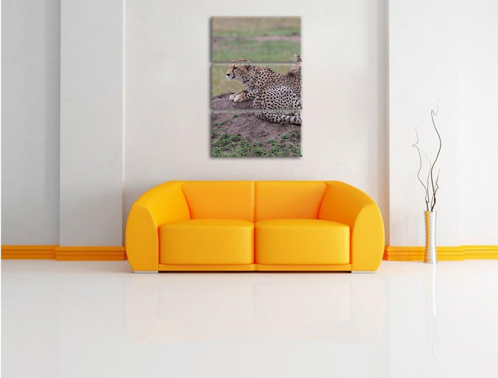 Pixxprint prächtige Geparden auf Stein / 3-Teilig/Gesamtmass 120cm Leinwandbild bespannt auf Holzrah