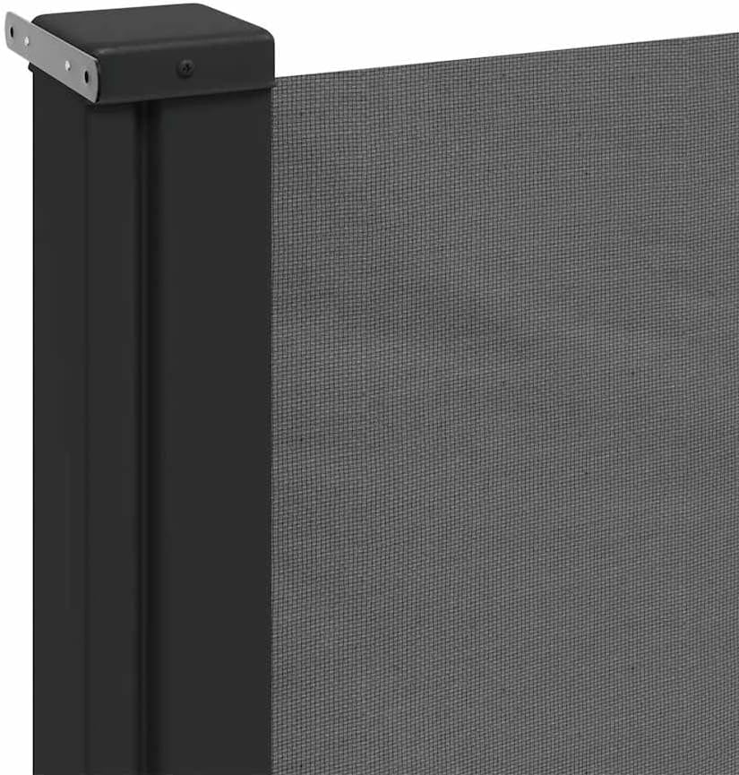 vidaXL Ausziehbare Seitenmarkise Anthrazit 160x300 cm 160 x 300 cm Anthrazit, 160 x 300 cm Anthrazit