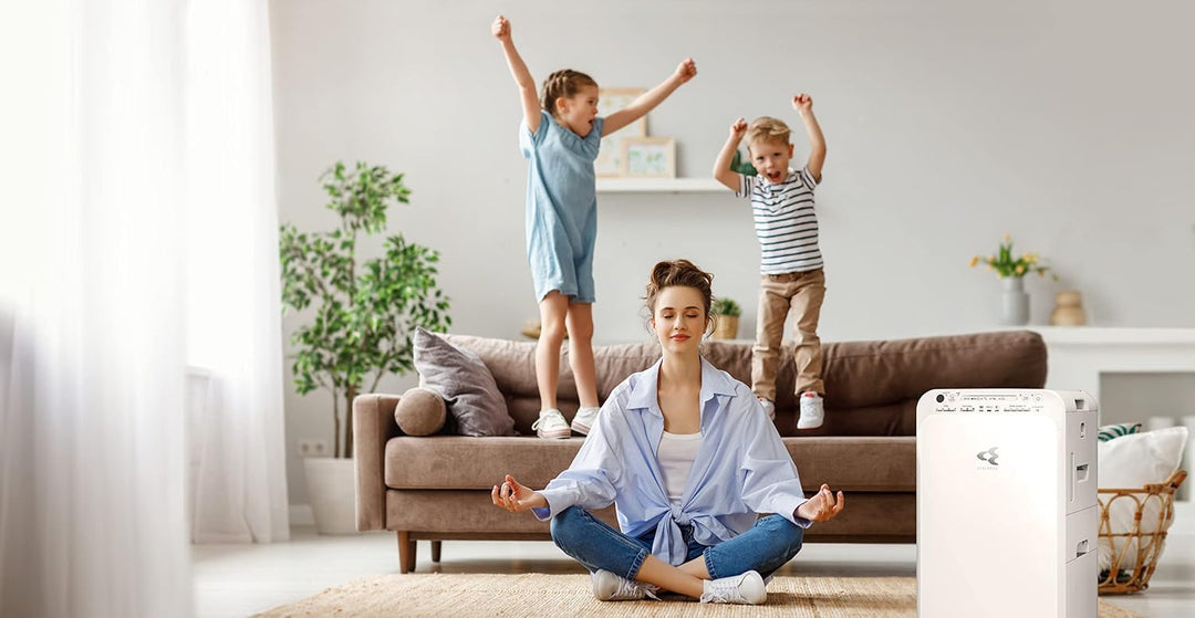 MOBILUS BUITINIS ORO VALYTUVAS Daikin MC55W