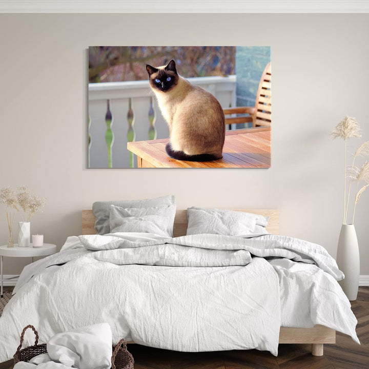 Printed Paintings Leinwand (80x60cm): Siamkatze auf Tisch Katzenbilder Katzen 80x60 cm, 80x60 cm