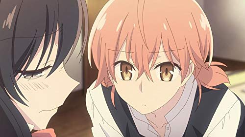 Bloom into You, Vol. 2, DVD