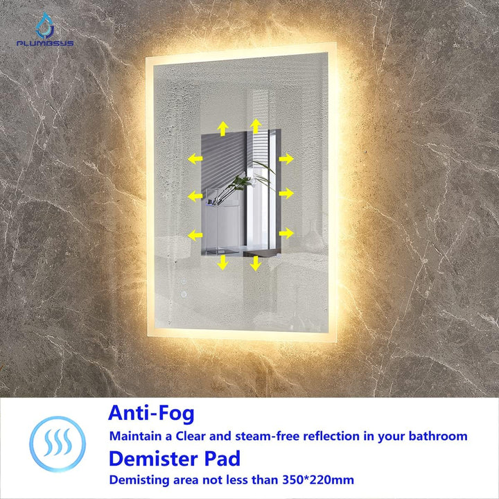 Plumbsys LED Badspiegel Badezimmerspiegel 60x80cm mit 3-Farben des Lichts Beleuchtung Antibeschlag W