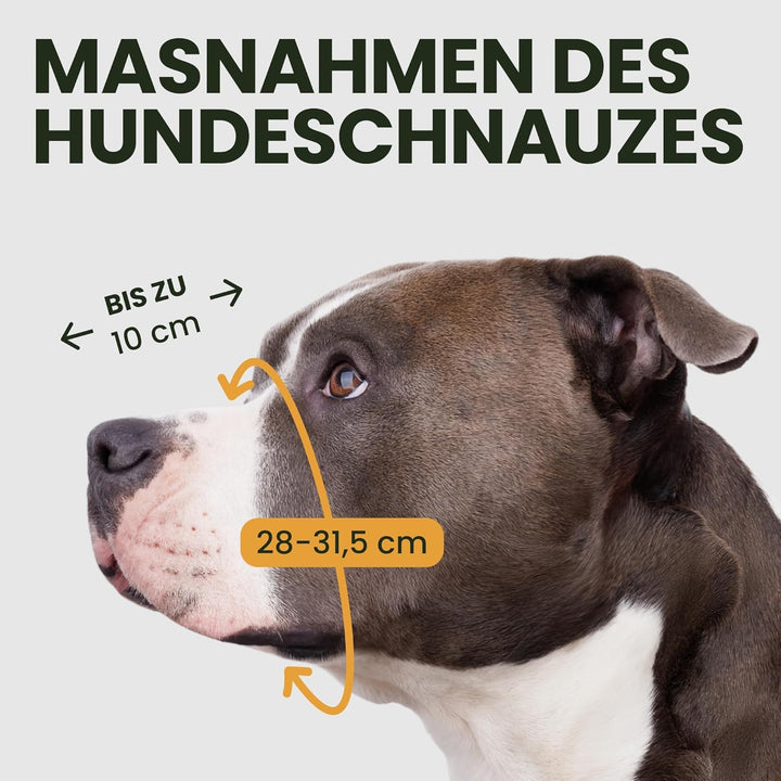 BronzeDog Hundemaulkorb Pitbull Metallmaske Amstaff Drahtkorb Pit Bull verstellbare Lederbänder für
