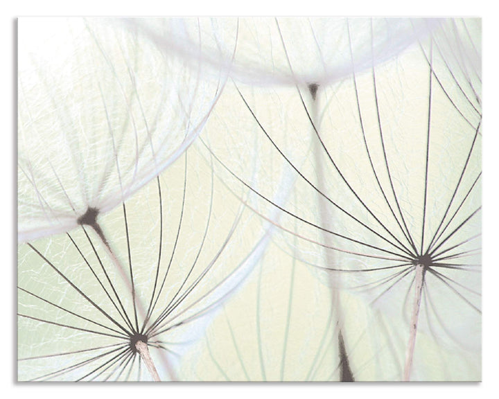ARTland Spritzschutz Küche aus Alu für Herd Spüle 70x55 cm (BxH) Küchenrückwand mit Motiv Blume Pust
