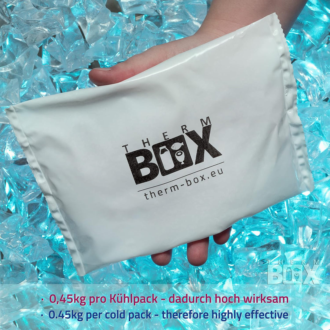 THERM BOX Profi Styroporbox Gastro GN mit 5X Kühlakku für Kühlbox 40L Innen: 54x34x21,5cm Transportb
