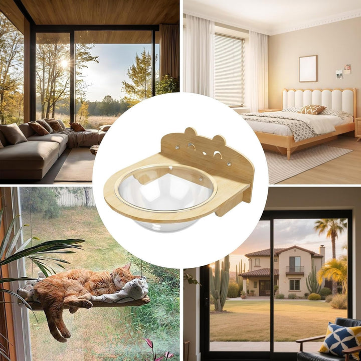 Suction Cup Cat Window Perch Wall Shelf for Kitten Climbing and Napping | Wall Mounted Cat Shelf Is