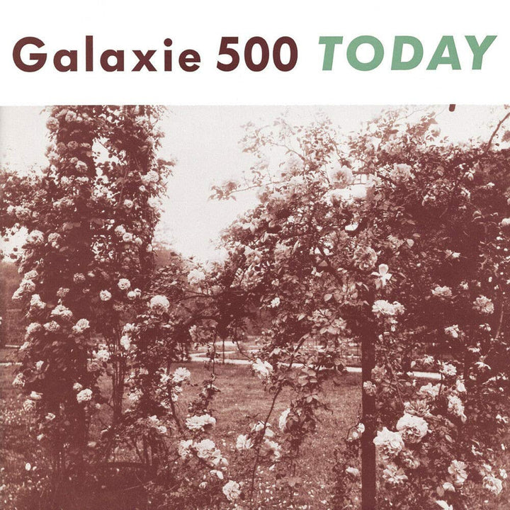 Today, Vinyl