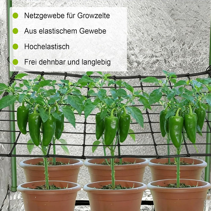 Scrog Netz 150x150 – Elastisches Pflanzen Grow Netz mit 225 Löchern &amp; 4 Metallhaken,Wachsen Zelt net