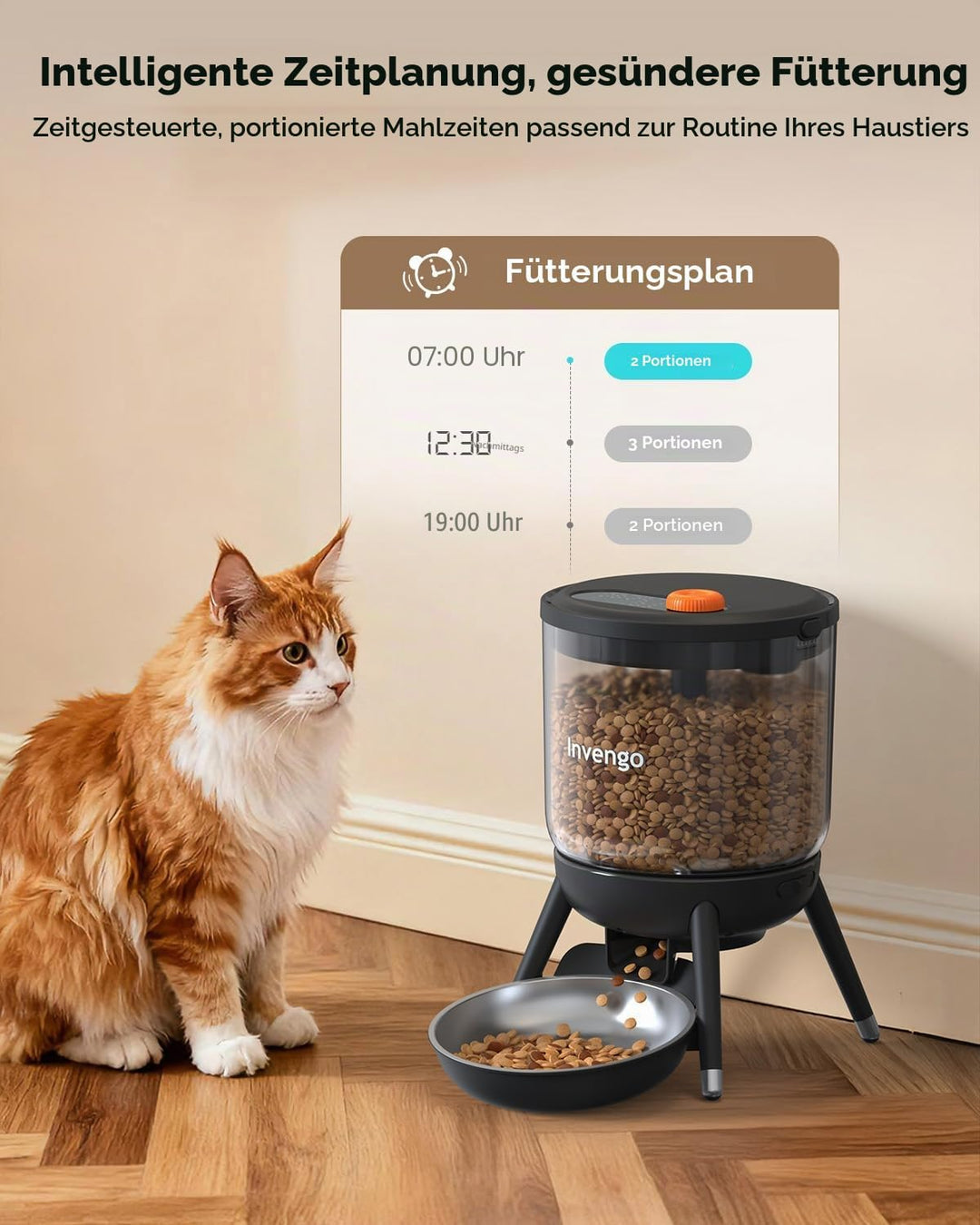 Katzenfutter Automat, Futterautomat Katze mit Zeitsteuerung, 3L Trichter, Doppelstromversorgung, Tro