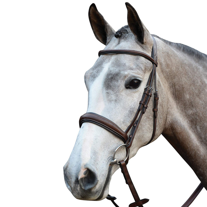 Collegiate Mono Crown Padded Raised Cavesson Snaffle Bridle Full Braun, Full Braun