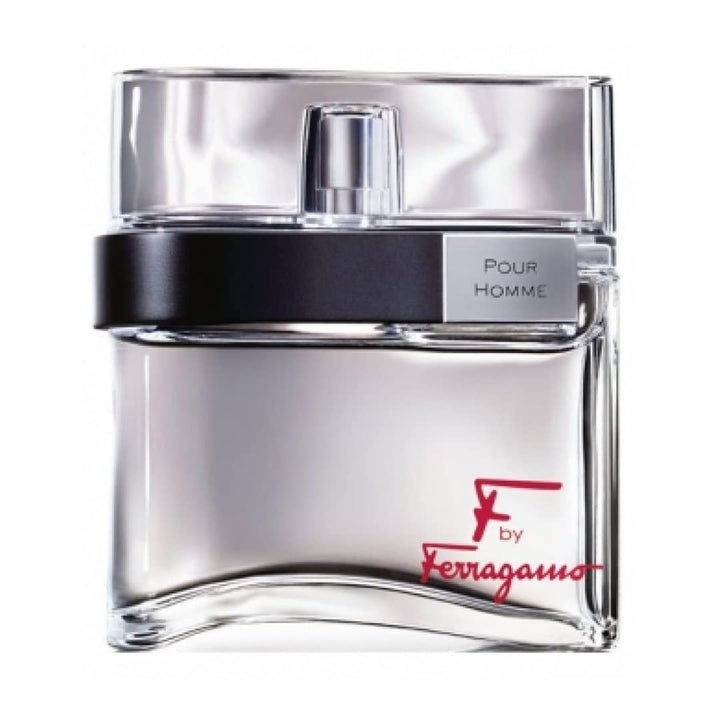FERRAGAMO F By PH EDT Vapo 100 ml 100 ml (1er Pack), 100 ml (1er Pack)