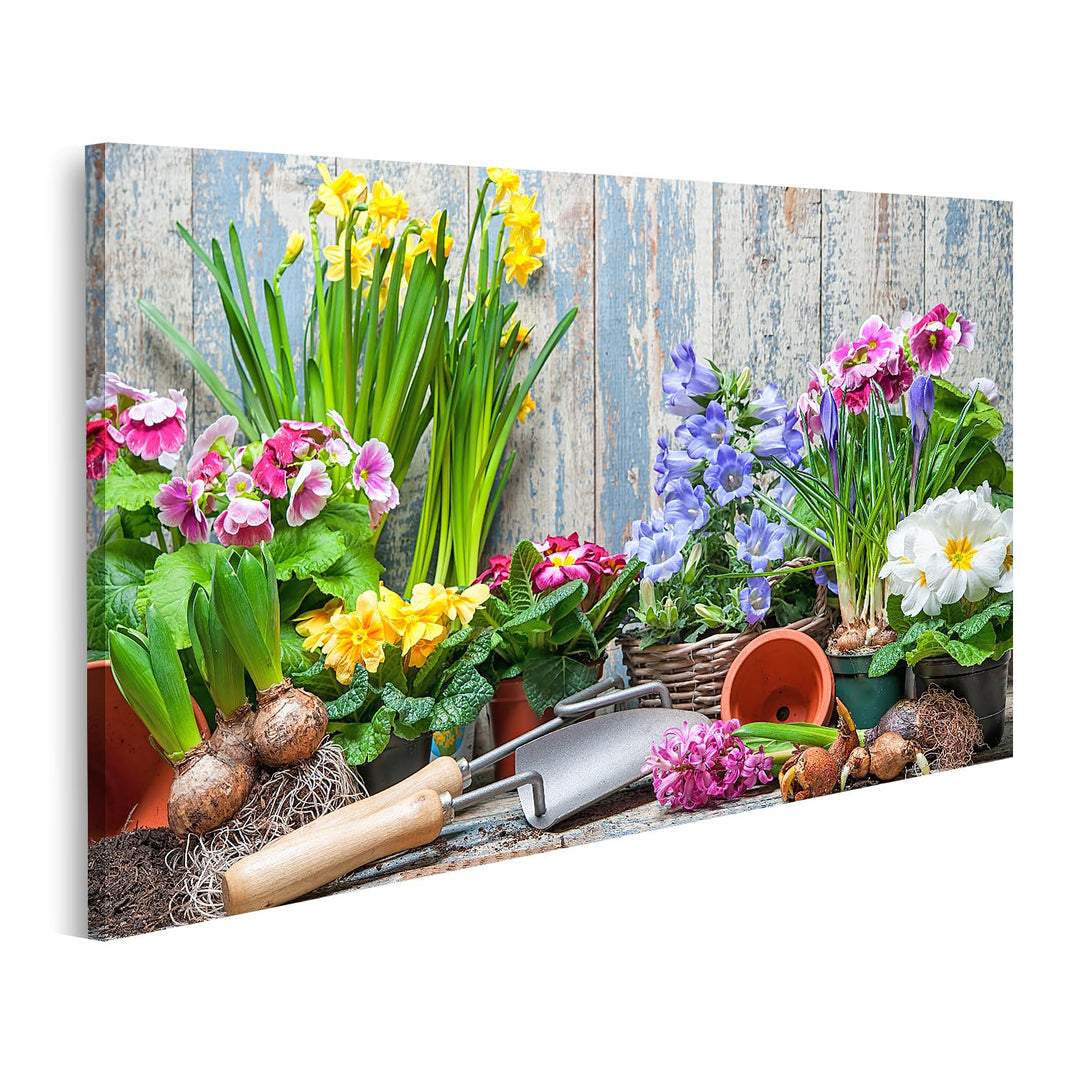 islandburner Bild auf Leinwand Blumengarten Bunte Blumen Töpfe Erde Vor Holzwand Bilder Wandbilder P