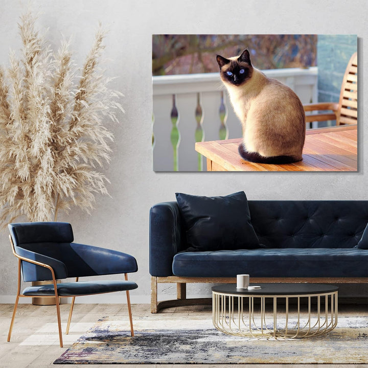 Printed Paintings Leinwand (80x60cm): Siamkatze auf Tisch Katzenbilder Katzen 80x60 cm, 80x60 cm