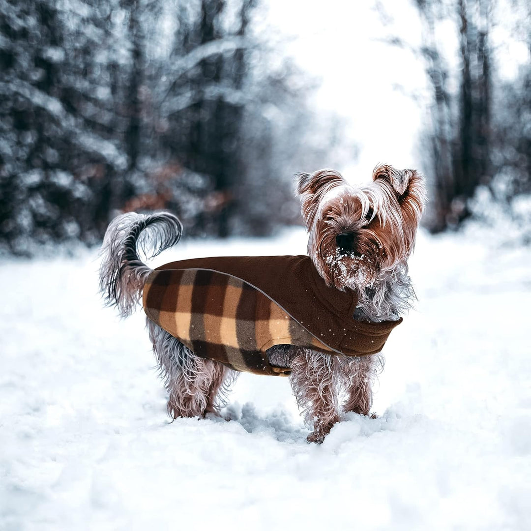 CITÉTOILE Warme Hundemantel Winter, Hundemantel mit Bauchschutz, Wintermantel für Hunde mit Reflekti